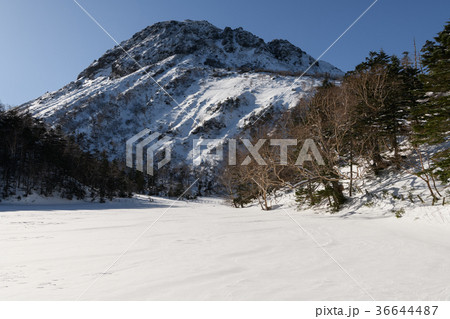 初冬の日光白根山 初冬の日光白根山 36644487