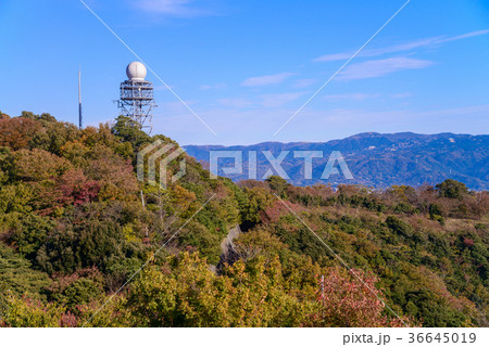 紅葉の香貫山山頂の通信設備 36645019