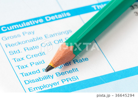 The income statement and pencil The income statement and pencil 36645294