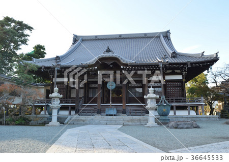 本覚寺(鎌倉) 本覚寺(鎌倉) 36645533