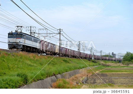 EF652065コンテナ貨物列車 36645591
