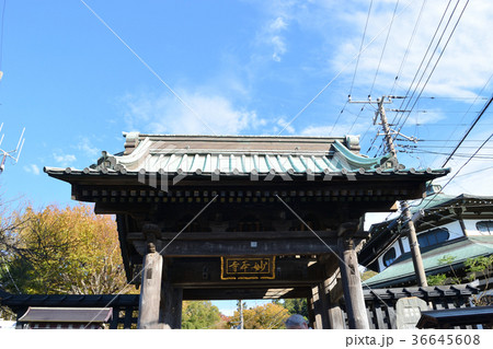 妙本寺（鎌倉） 36645608
