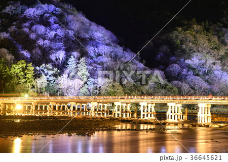 嵐山花灯路 嵐山花灯路 36645621
