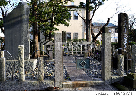 日蓮上人辻説法跡(鎌倉) 日蓮上人辻説法跡(鎌倉) 36645773