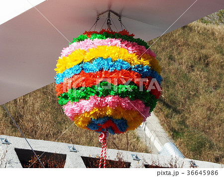 くす玉 36645986