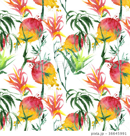 Tropical bamboo in a watercolor style isolated. 36645991