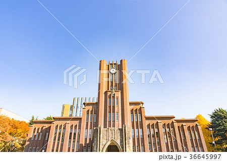 東京大学 東京大学 36645997