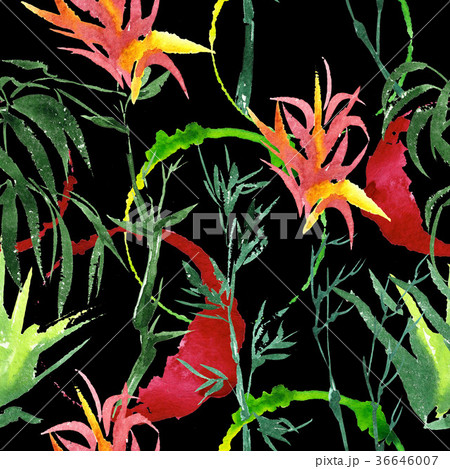 Tropical bamboo in a watercolor style isolated. 36646007