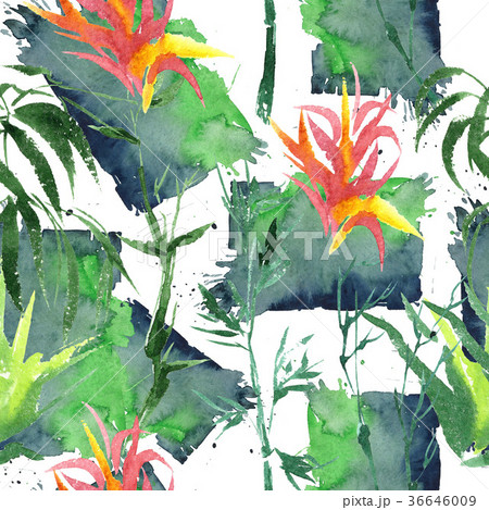 Tropical bamboo in a watercolor style isolated. 36646009