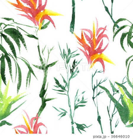 Tropical bamboo in a watercolor style isolated. 36646010