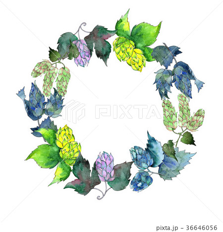 Wildflower hops flower wreath in a watercolor 36646056