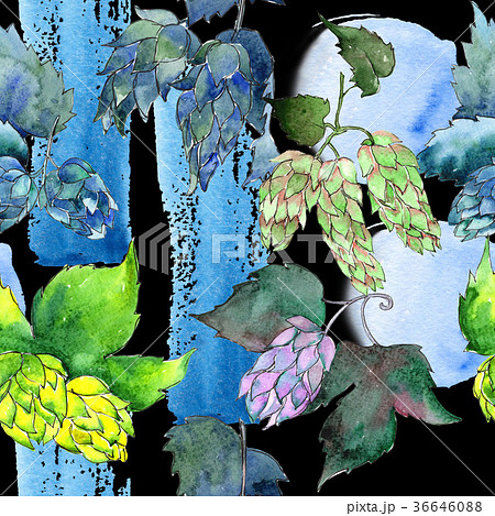 Wildflower hops flower pattern in a watercolor Wildflower hops flower pattern in a watercolor 36646088