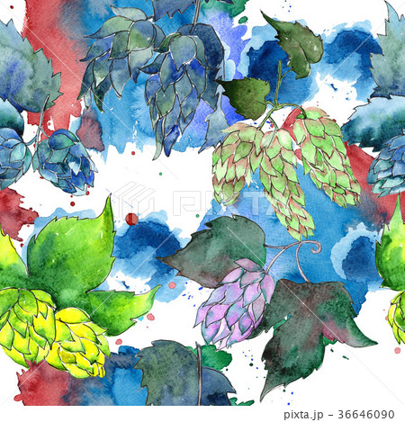Wildflower hops flower pattern in a watercolor 36646090