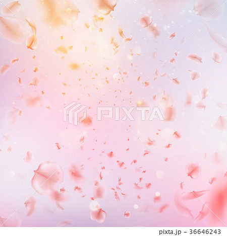 Sakura flying downwind petals on wind. EPS 10 Sakura flying downwind petals on wind. EPS 10 36646243