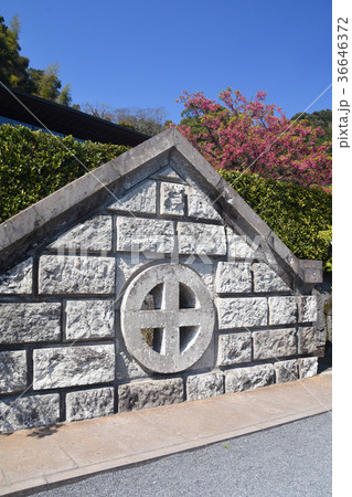 仙巌園の島津家水天渕発電所記念碑と桜 36646372