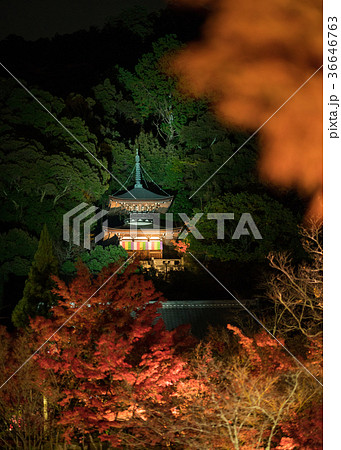 pagoda in Eikando temple at night 36646763