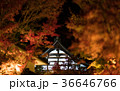 japanese roof in autumn leaves garden at night 36646766