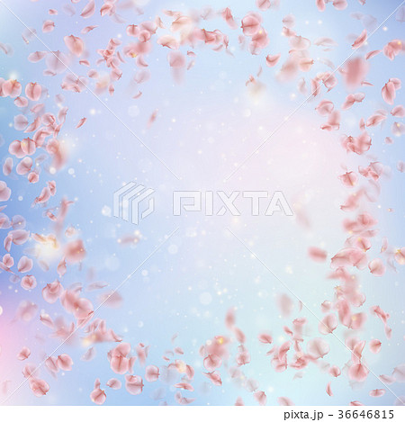 Sakura flying downwind petals on wind. EPS 10 Sakura flying downwind petals on wind. EPS 10 36646815