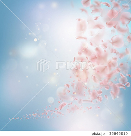 Sakura flying downwind petals on wind. EPS 10 36646819