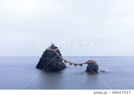 三重県 二見興玉神社 夫婦岩 三重県 二見興玉神社 夫婦岩 36647437
