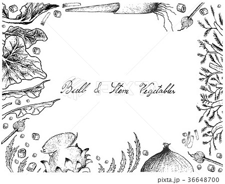 Bulb and Stem Vegetables Frame on White Background Bulb and Stem Vegetables Frame on White Background 36648700
