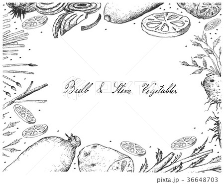 Bulb and Stem Vegetables Frame on White Background 36648703