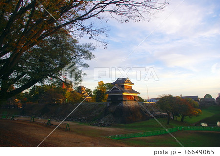 熊本城 熊本城 36649065