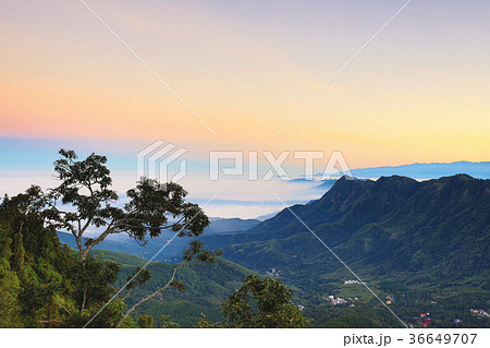 アルプ 高山 高峰 36649707