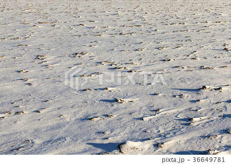 land covered with snow land covered with snow 36649781