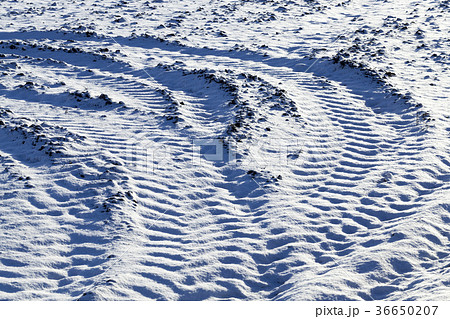 traces on the site of the turn 36650207
