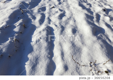 Snow drifts in winter Snow drifts in winter 36650208