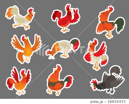 Cute cartoon rooster vector illustration chicken 36650455