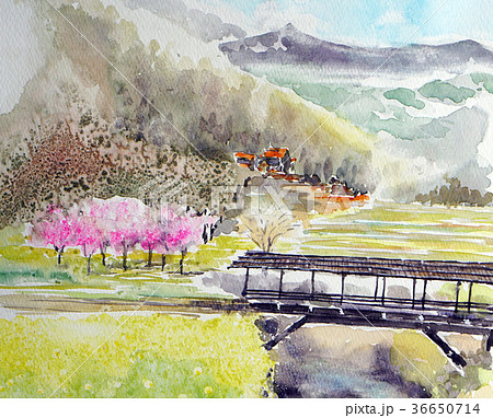 内子 田丸橋 屋根付き橋 愛媛県 内子 田丸橋 屋根付き橋 愛媛県 36650714
