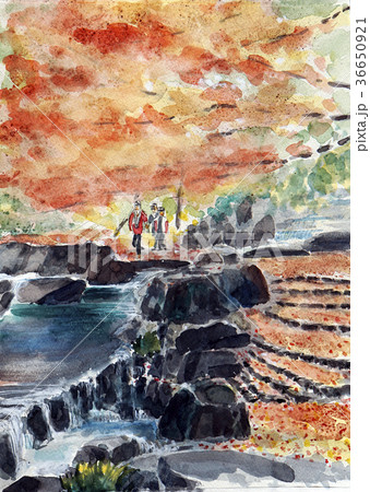 紅葉の散歩道　紅葉狩り 36650921