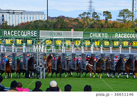 中京師走 中京師走 36651146