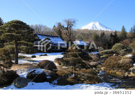 雪景色の富士山 36651352