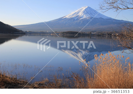 雪景色の富士山 雪景色の富士山 36651353