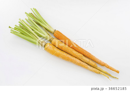 島にんじん 島にんじん 36652185