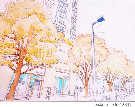 東京　街並み　風景 36652849