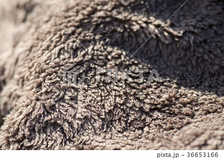 ボア生地 ボア生地 36653166