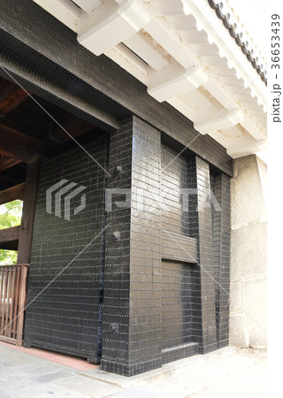 大坂城大手門 36653439