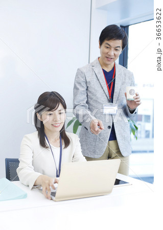 ビジネスパーソン デスクワーク コミュニケーション ビジネスパーソン デスクワーク コミュニケーション 36653622