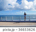 橋の上から海をながめる女性 36653626