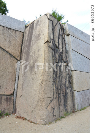 大阪城石垣 大阪城石垣 36653972