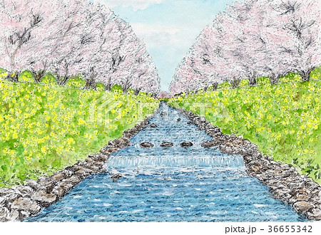 桜のイラスト素材