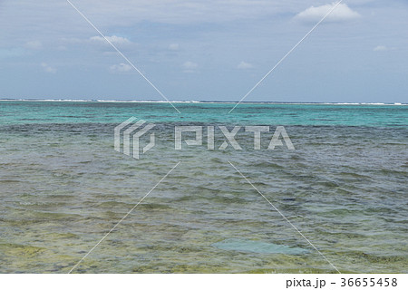 川平タバガーの海岸風景（石垣島） 36655458