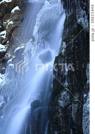 冬の薄衣の滝 36655949