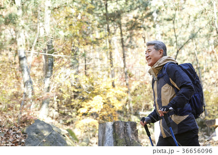 感情 歩く 高齢者 36656096