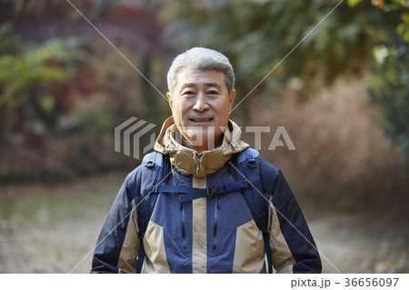 感情 公園 紅葉 36656097