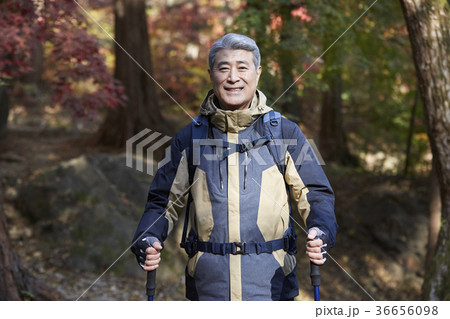 感情 公園 紅葉 36656098